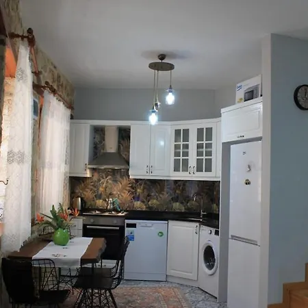 빌라 Leila Old House *